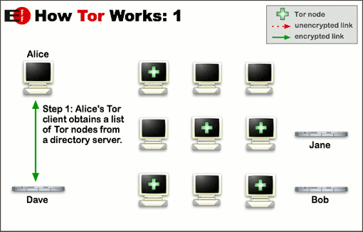 Step 1: Alice's Tor client obtains a list of Tor nodes from a directory server