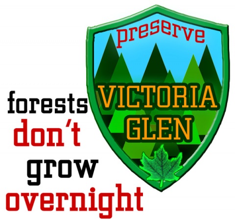 Forests don't grow overnight - Preserve Victoria Glen Forest